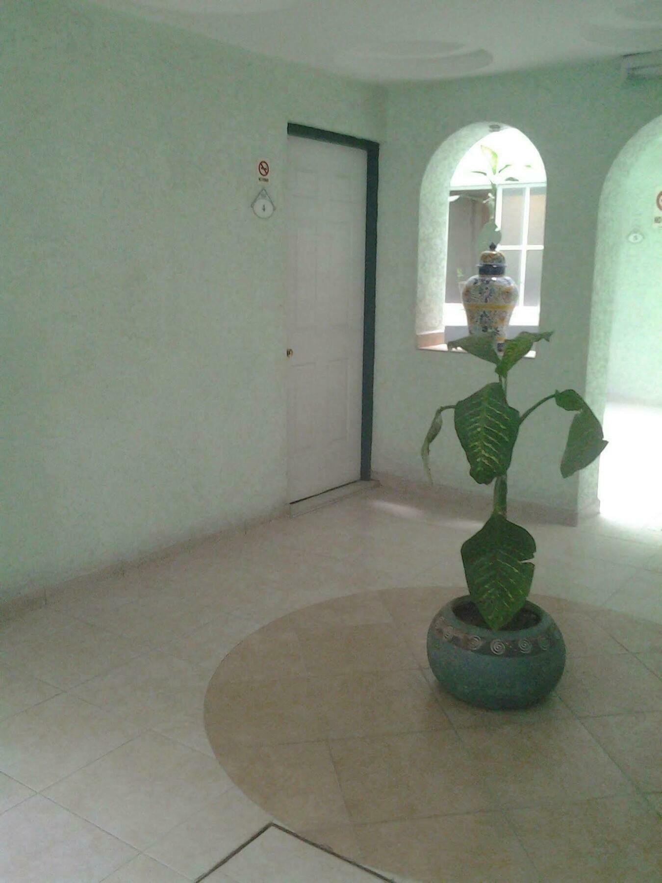 Hotel Sonora, Centro Historico Мехико Экстерьер фото